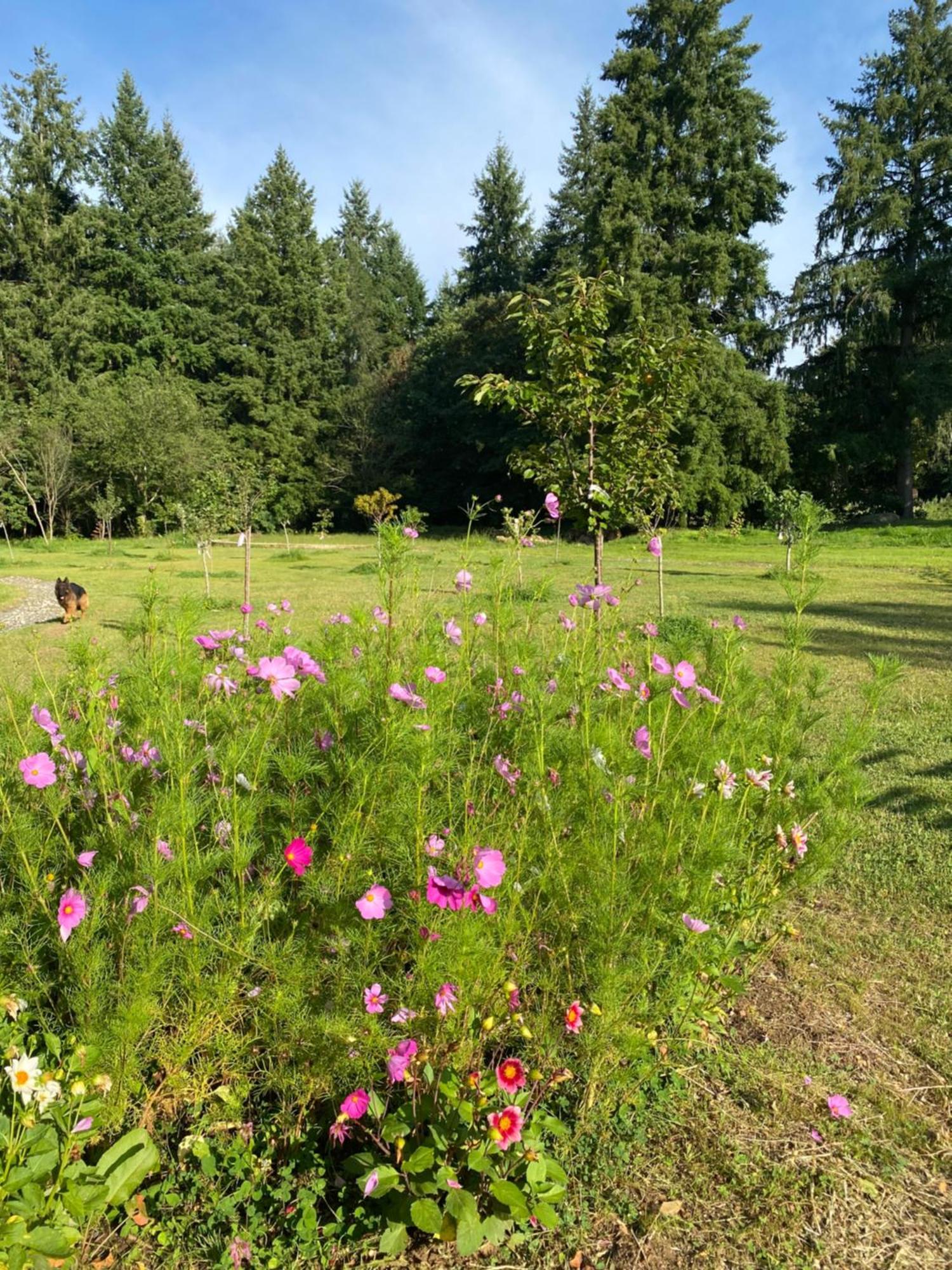Maison Dans Parc Prive, Sports Et Loisirs Proche Golf Du Coudray Montceaux Ле-Кудре-Монсо Экстерьер фото